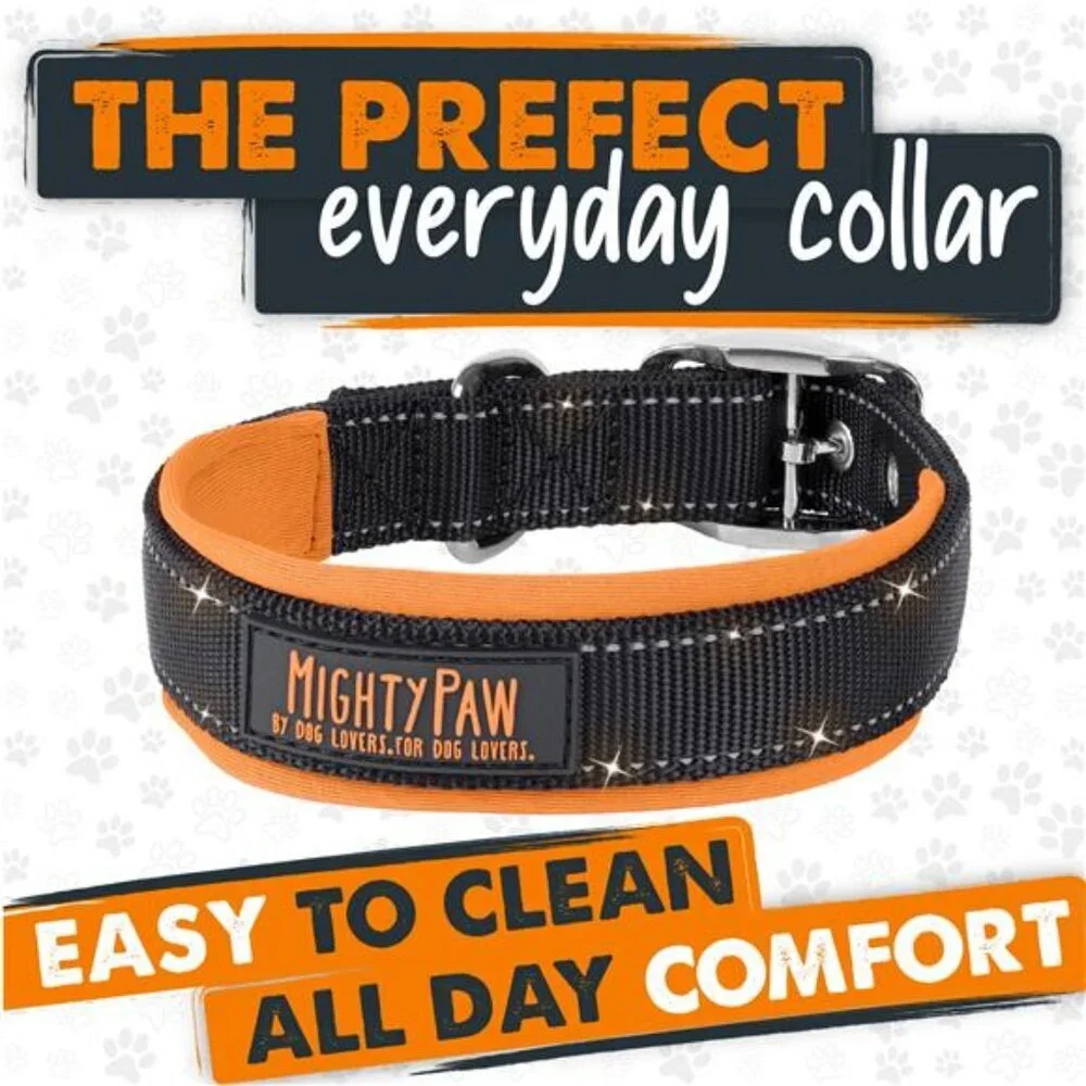 Sport Collar 2.0 | Soft Neoprene Padded Dog Collar for Maximum